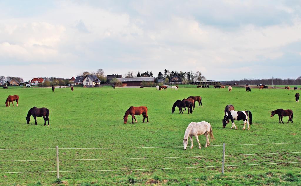 Ferienwohnung Bergblick Xanten Dış mekan fotoğraf